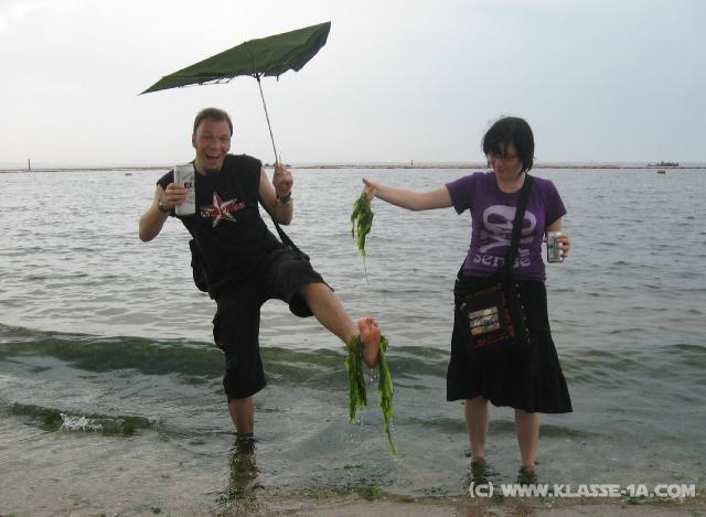 7435_Seaweed_party