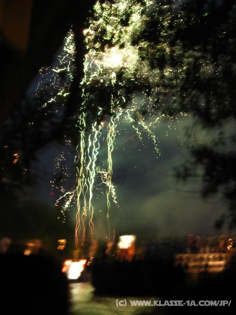 8543_Fireworks