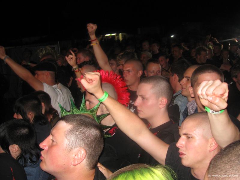 5608_Fans