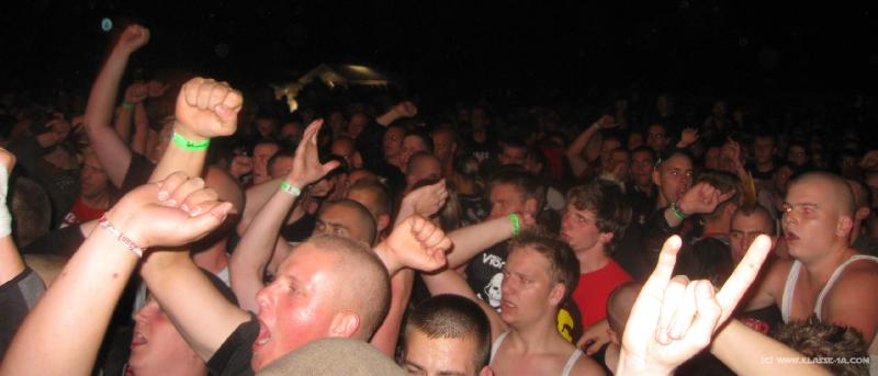 5678_Fans