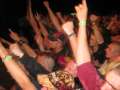 5685_Fans