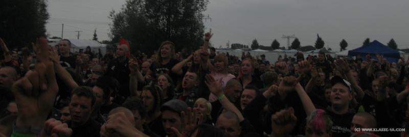 5905_Fans